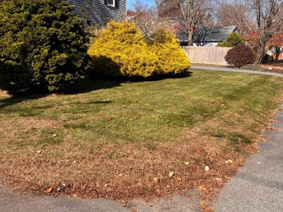 Lawn care service in New Bedford, 02745