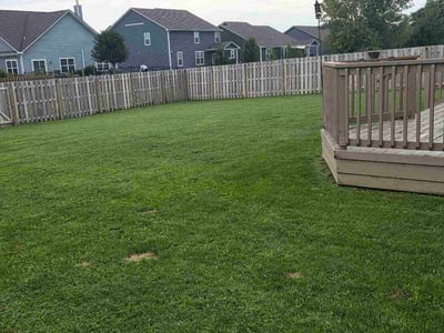 Lawn care service in Brownsburg, 46112