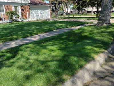 Lawn care service in Sterling Heights, 48312
