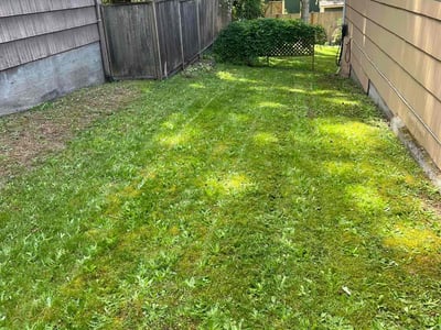 Lawn care service in Seattle, 98115
