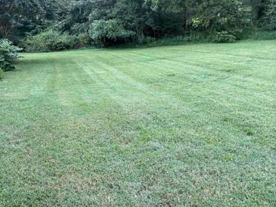 Lawn care service in Hendersonville, 28791