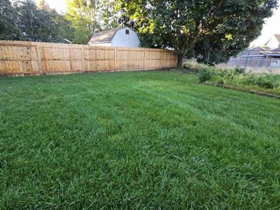 Lawn care service in Boise, 83713