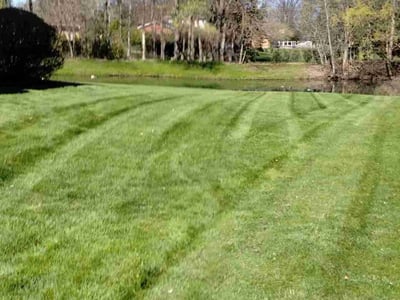 Lawn care service in Webster, 14580