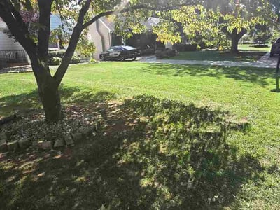 Lawn care service in Louisville, 40207