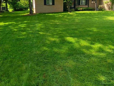Lawn care service in Farmington Hills, 48336