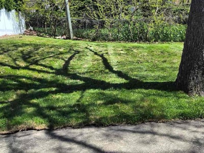 Lawn care service in Bellmore, 11710