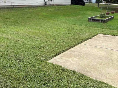 Lawn care service in Charlotte, 28216