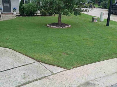 Lawn care service in Clayton, 27527