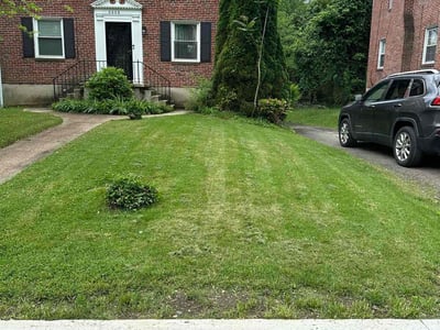 Lawn care service in Baltimore, 21207