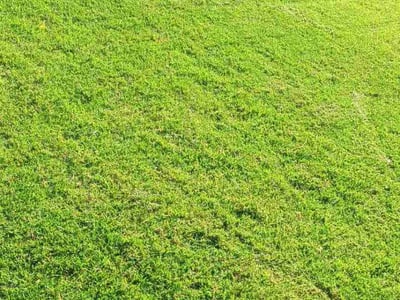 Lawn care service in Oklahoma City, 73129