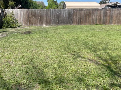 Lawn care service in New Port Richey, 34655
