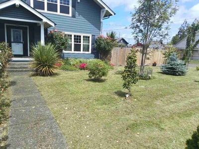 Lawn care service in Aberdeen, 98520
