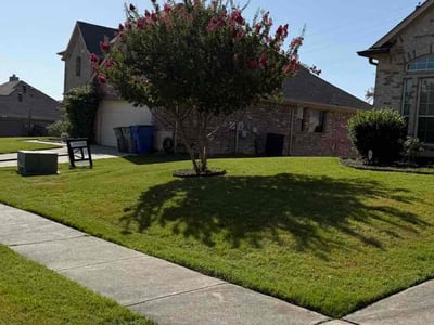 Lawn care service in Wylie, 75098
