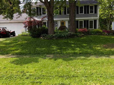Lawn care service in Rochester, 14616