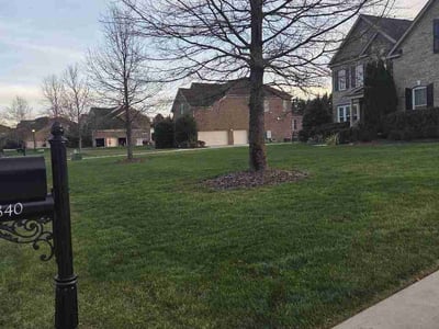 Lawn care service in Waxhaw, 28173