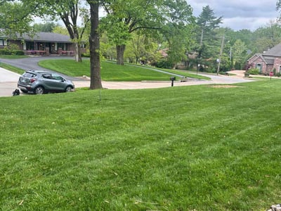 Lawn care service in St. Louis, 63141
