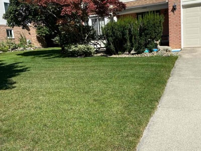 Lawn care service in Plymouth, 48170
