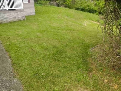 Lawn care service in N BELL VERNON, 15012