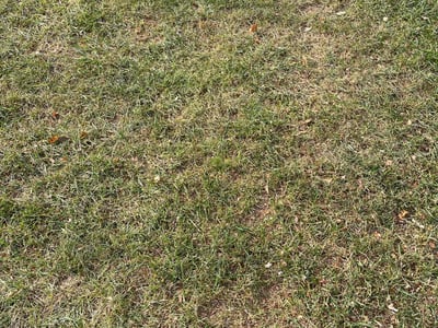 Lawn care service in Liberty, 64068