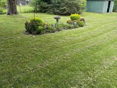 Lawn care service in Rochester, 14623