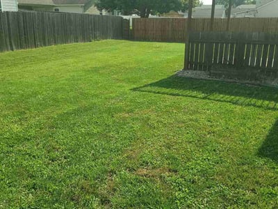 Lawn care service in Troy, 62294