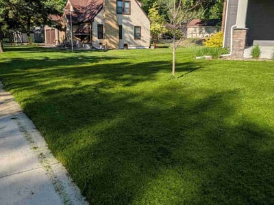 Lawn care service in Minneapolis, 55426