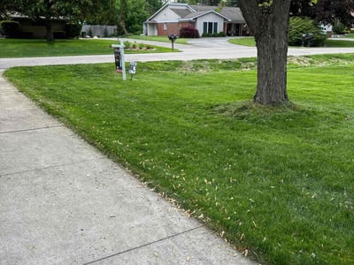 Lawn care service in Troy, 48098
