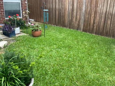 Lawn care service in Mesquite, 75150
