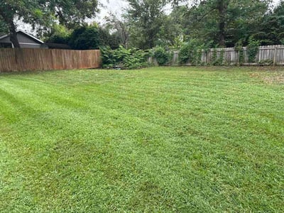 Lawn care service in Raleigh, 27612