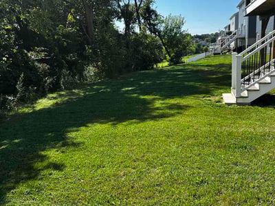 Lawn care service in Easton, 18040
