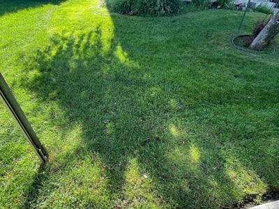 Lawn care service in Spokane, 99223