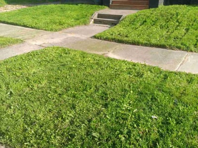Lawn care service in Toledo, 43607