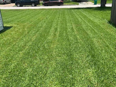 Lawn care service in Baytown, 77520