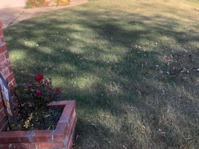 Lawn care service in Tulsa, 74133