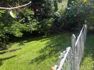 Lawn care service in Niagara Falls, 14301