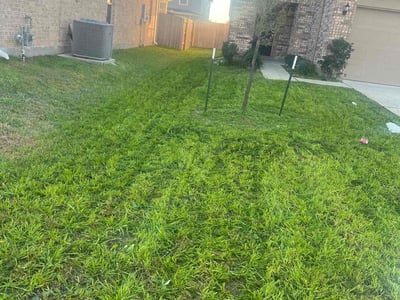 Lawn care service in Houston, 77038