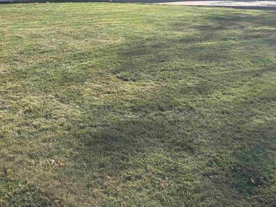 Lawn care service in New Berlin, 53151