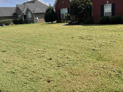 Lawn care service in La Vergne, 37086