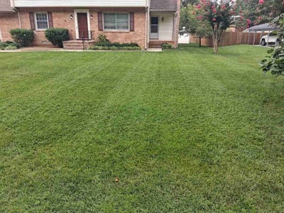 Lawn care service in Colonial Heights, 23834