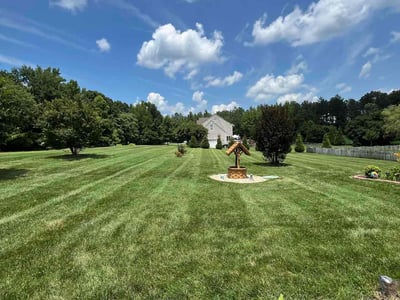 Lawn care service in Richmond, 23231