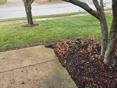 Lawn care service in Indianapolis, 46278