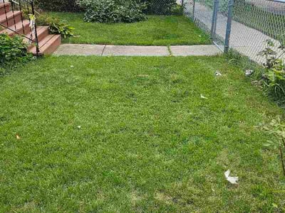 Lawn care service in MILWAUKEE, 53209