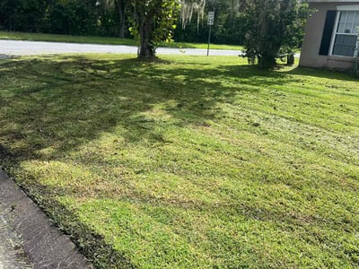 Lawn care service in Lakeland, 33811