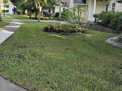 Lawn care service in Tampa, 33647