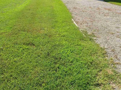 Lawn care service in Chester, 23831