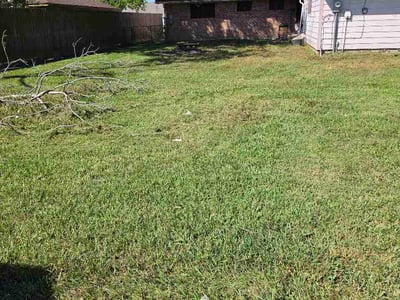 Lawn care service in West Columbia, 77486