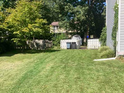 Lawn care service in Perry Hall, 21128