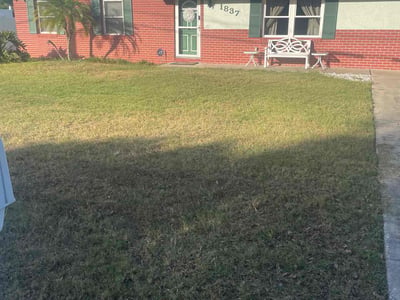 Lawn care service in Ormond Beach, 32174
