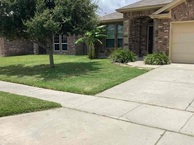 Lawn care service in Corpus Christi, 78414