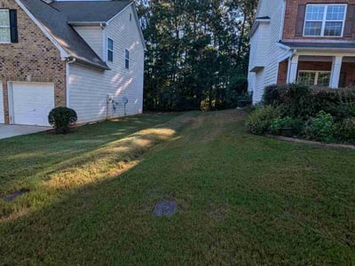 Lawn care service in Locust Grove, 30248